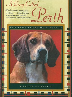 cover image of A Dog Called Perth